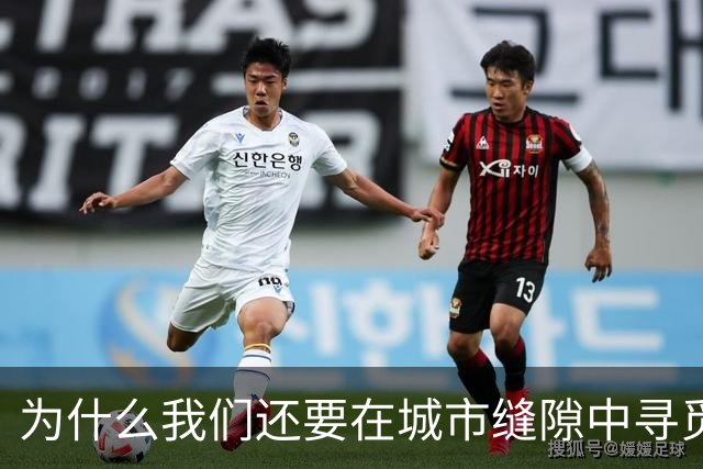 为什么我们还要在城市缝隙中寻觅那两座山？